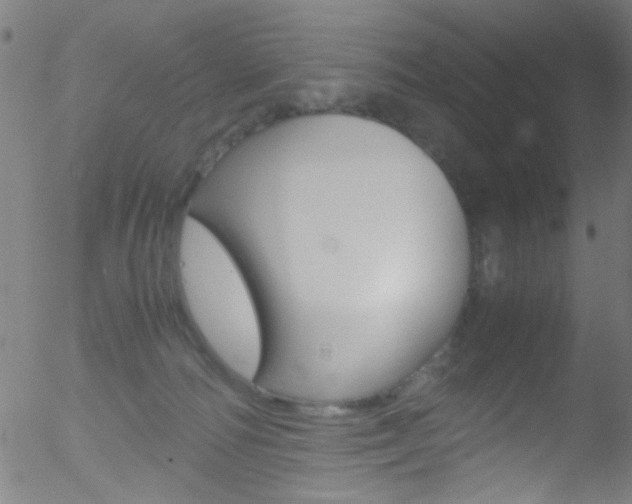 X0000052610226200507010947