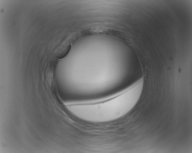 X0000052610227200507010947