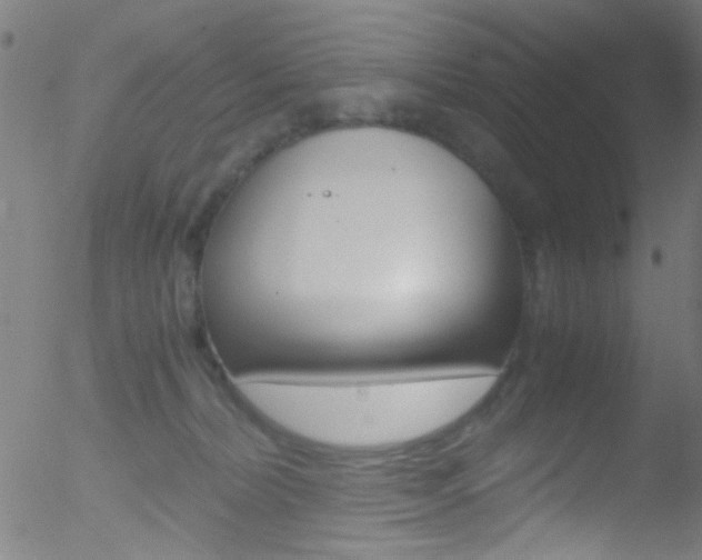 X0000052610228200507010947