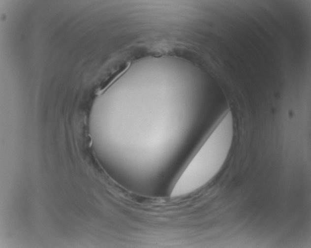 X0000052610229200507010947