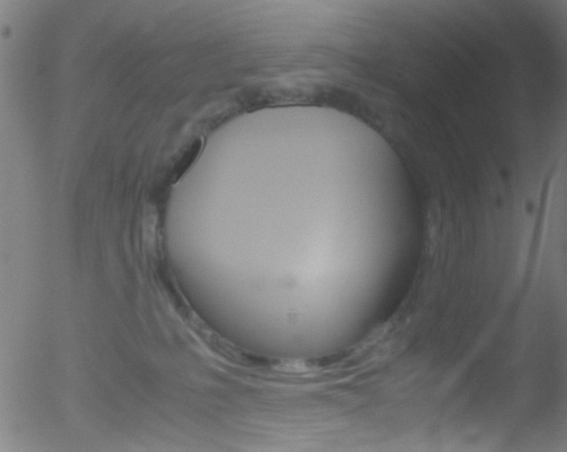 X0000052610231200507010947