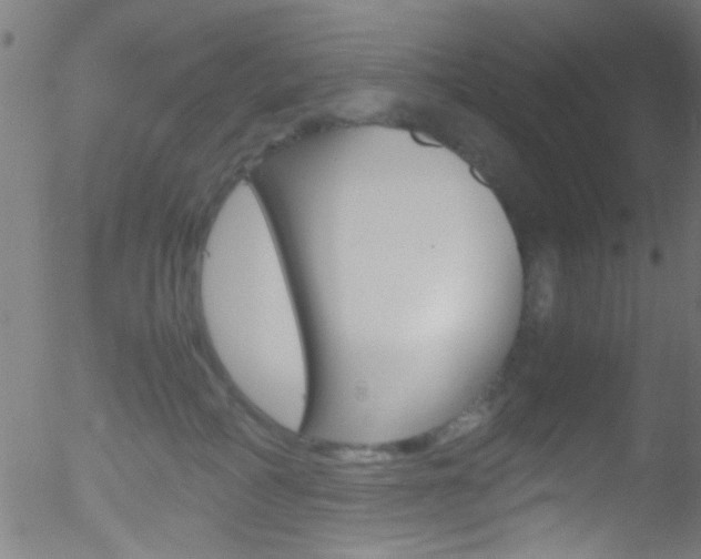 X0000052610234200507010947