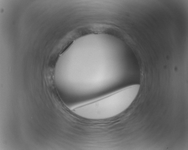 X0000052610237200507010947