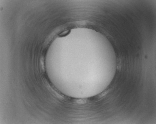 X0000052610238200507010947