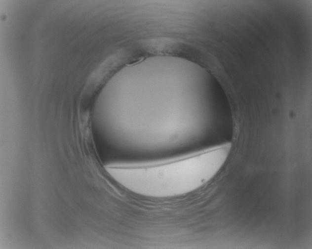 X0000052610239200507010947