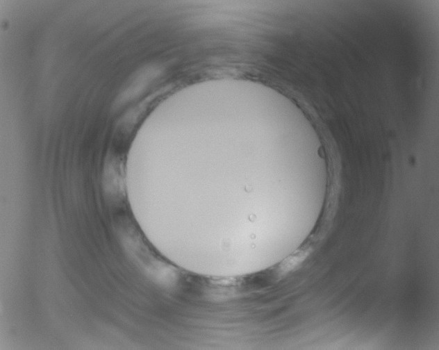 X0000052610240200507010947