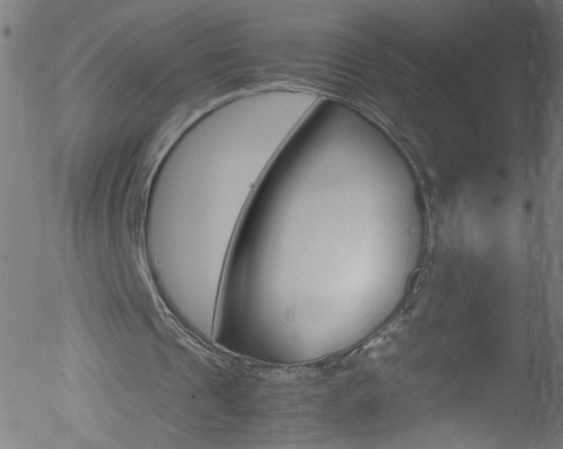 X0000052610241200507010946