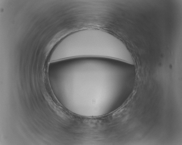 X0000052610242200507010946