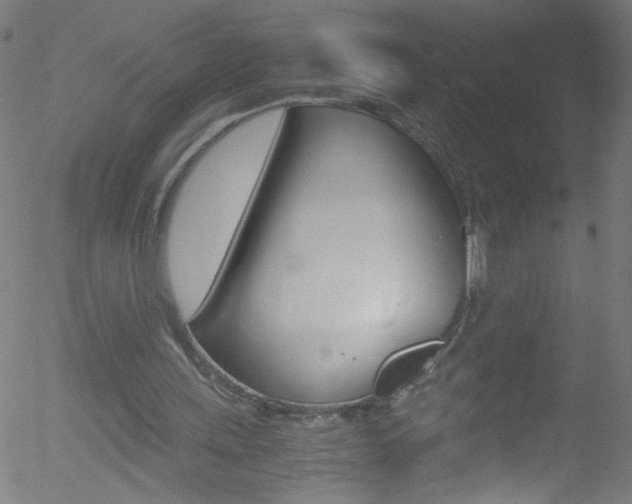 X0000052610243200507010946