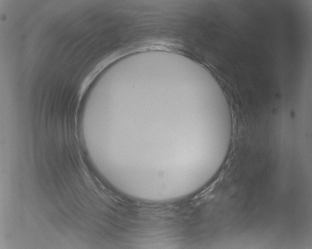 X0000052610244200507010946