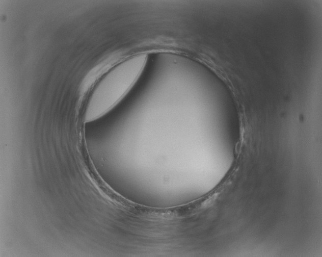 X0000052610245200507010946