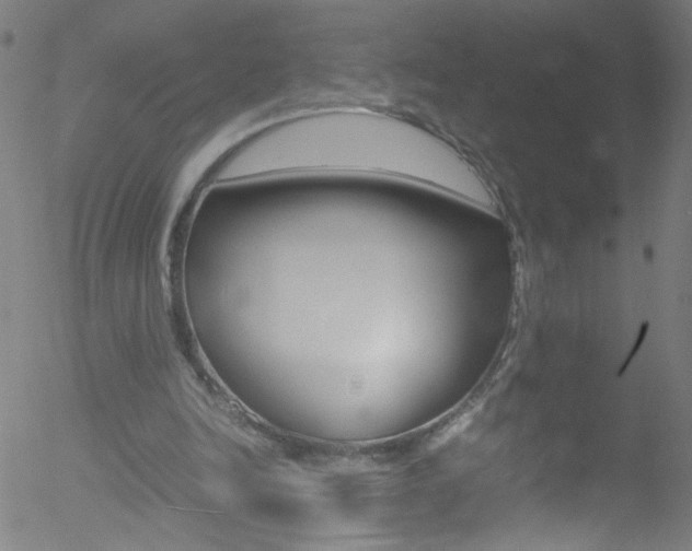 X0000052610246200507010946