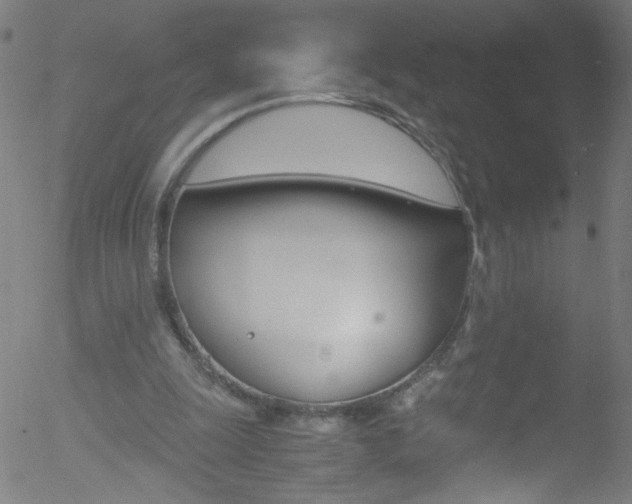 X0000052610247200507010946