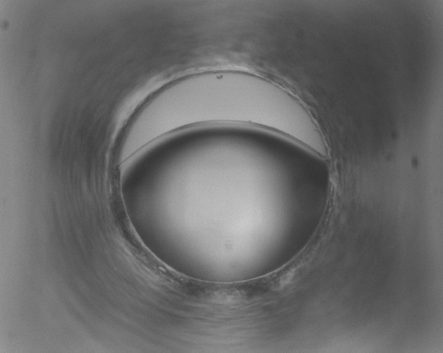 X0000052610248200507010946