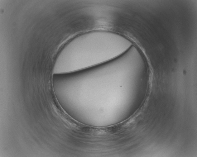 X0000052610249200507010946