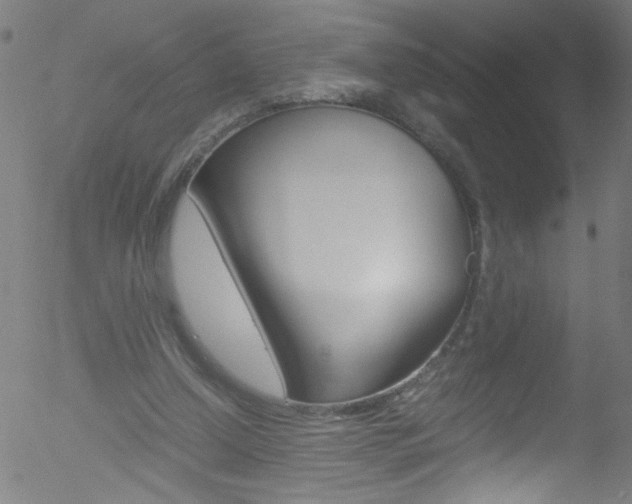 X0000052610250200507010946