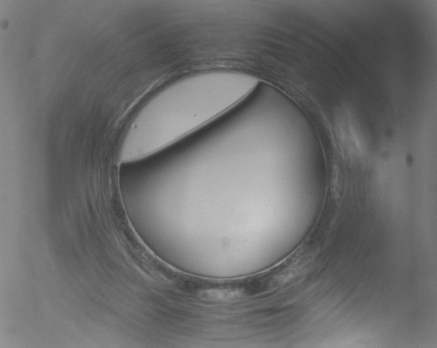 X0000052610251200507010946