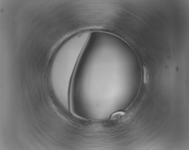 X0000052610252200507010946