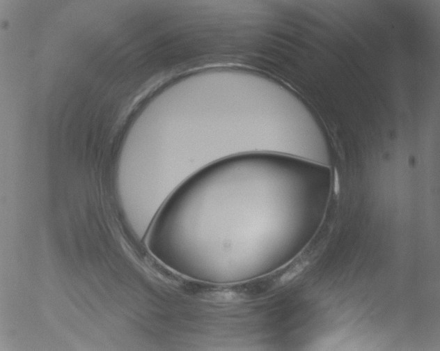 X0000052610253200507010946