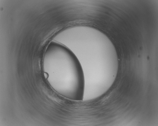 X0000052610254200507010946