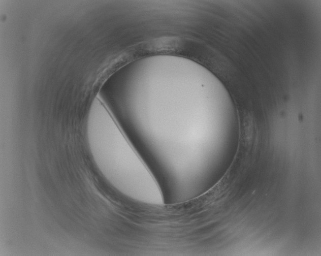 X0000052610255200507010946