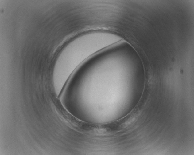 X0000052610256200507010946