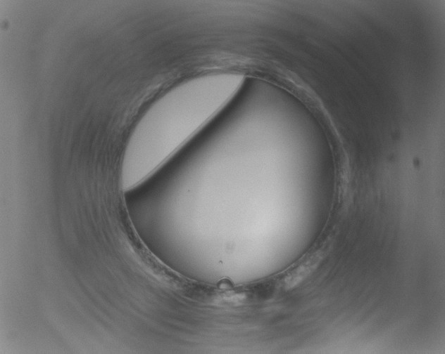 X0000052610257200507010946