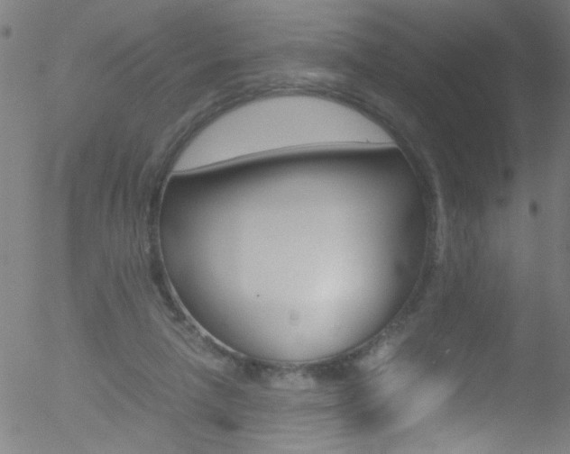 X0000052610258200507010946