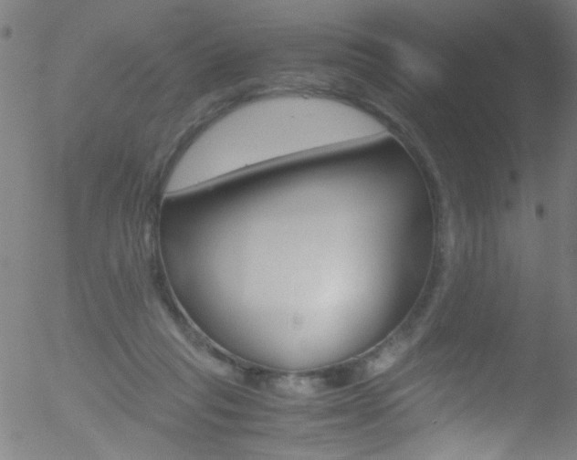 X0000052610261200507010946