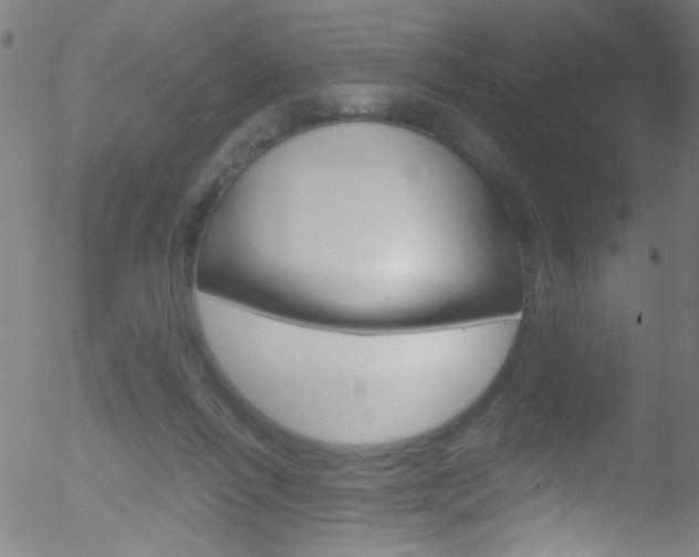 X0000052610262200507010946