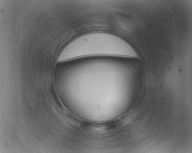 X0000052610263200507010946