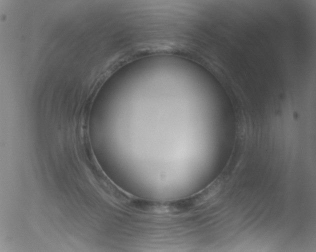 X0000052610264200507010946