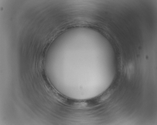 X0000052610266200507010946