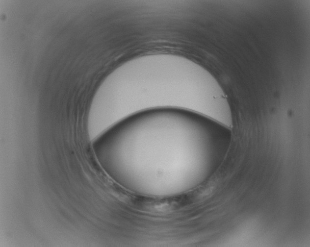 X0000052610267200507010946