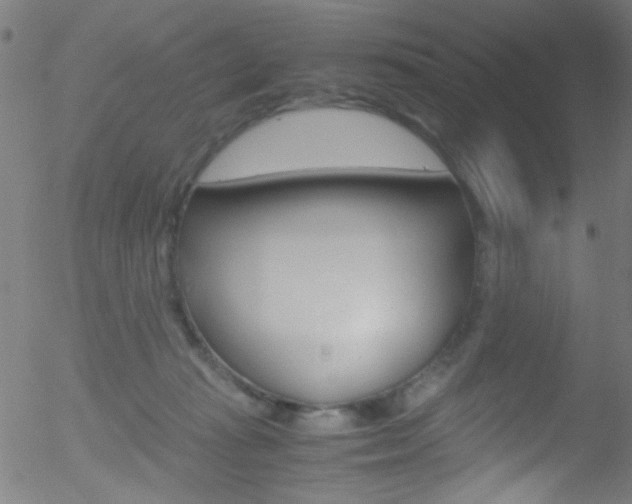 X0000052610269200507010946