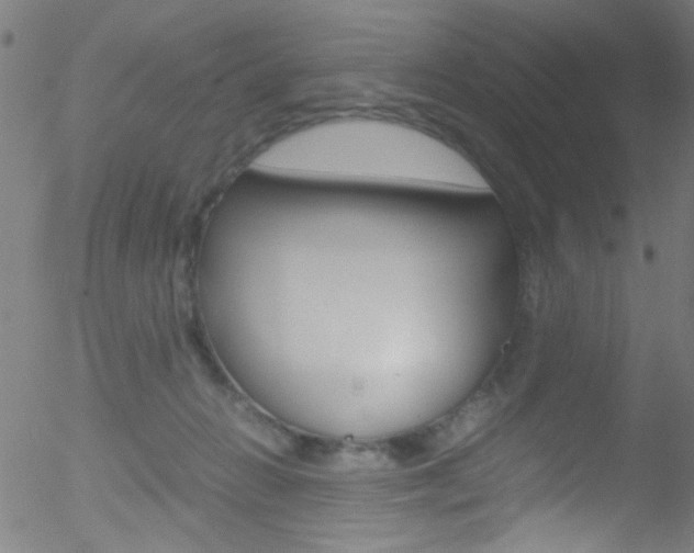 X0000052610270200507010946