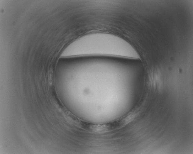 X0000052610273200507010946