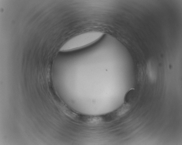 X0000052610274200507010946