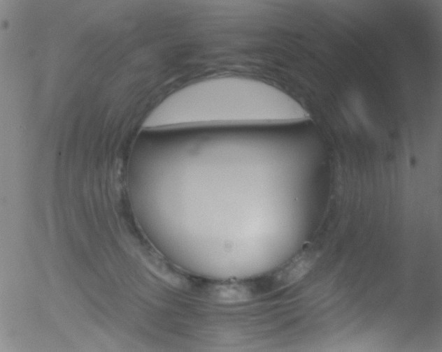 X0000052610275200507010946