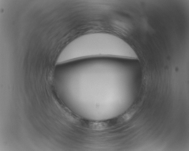 X0000052610277200507010946