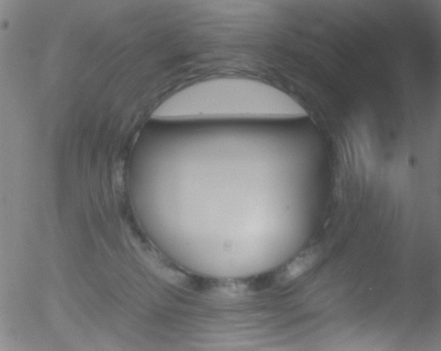 X0000052610278200507010946