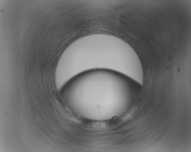 X0000052610279200507010946