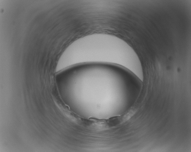 X0000052610280200507010946