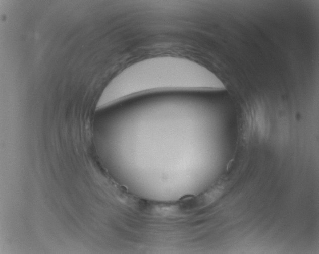 X0000052610283200507010946