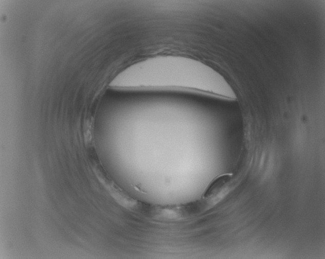 X0000052610285200507010946