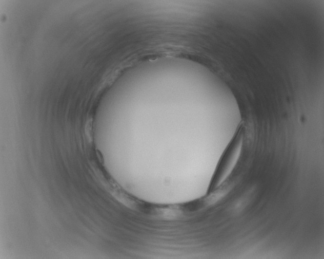 X0000052610286200507010947