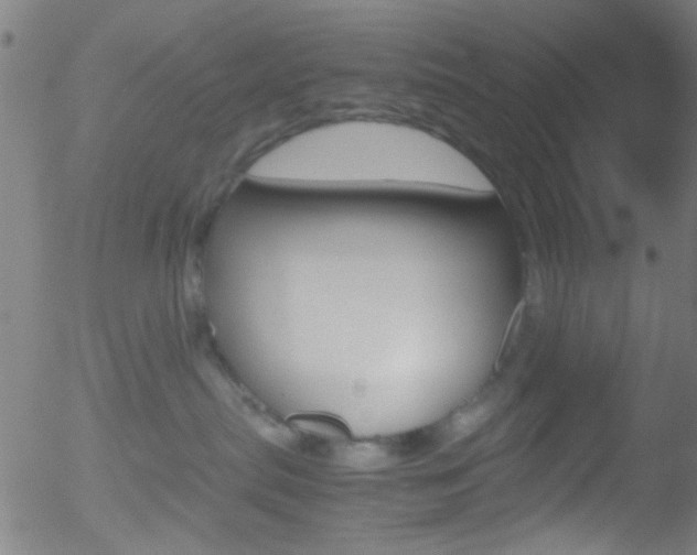 X0000052610287200507010947