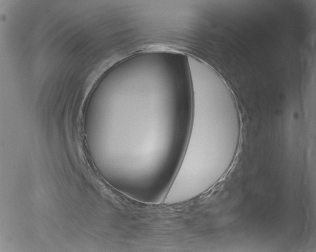 X0000052610289200507010946