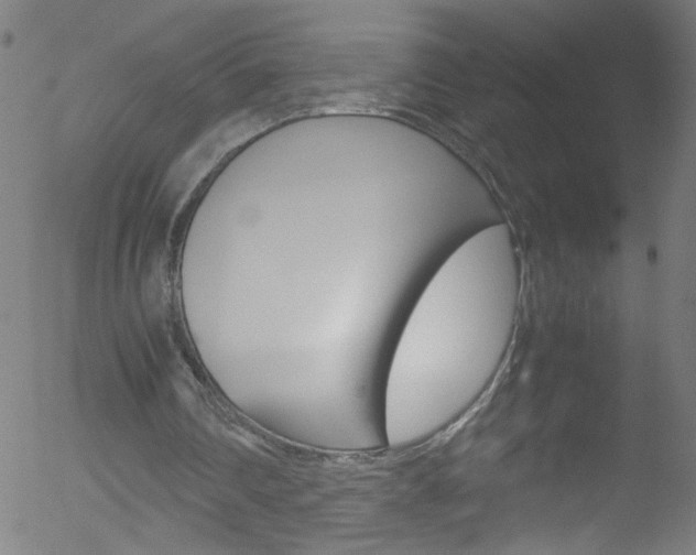 X0000052610290200507010946