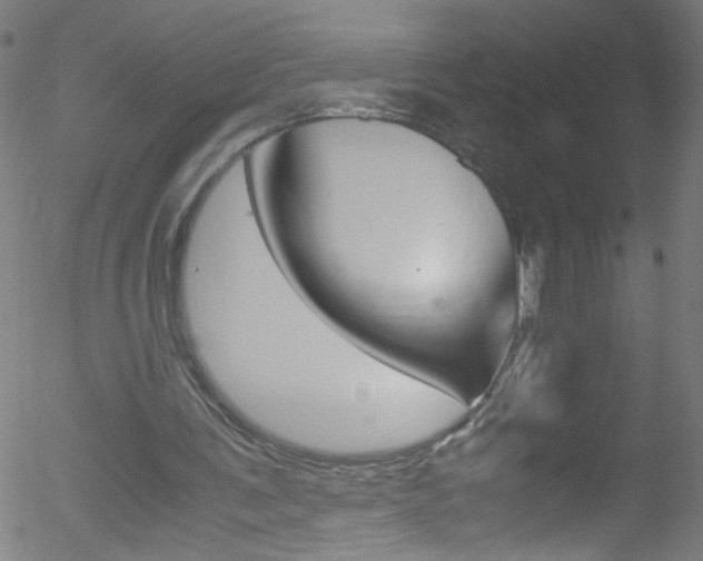 X0000052610291200507010946